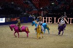 Quadrille - 00488